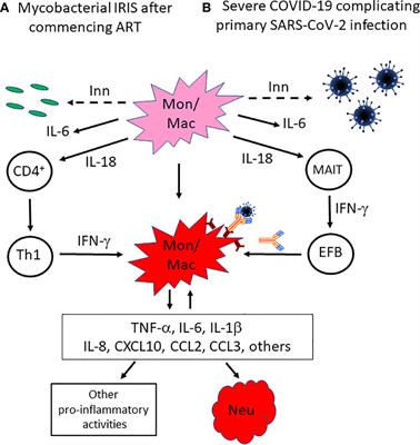 COVID-19 and HIV-Associated Immune Reconstitution Inflammatory Syndrome: Emergence of Pathogen-Specific Immune Responses Adding Fuel to the Fire